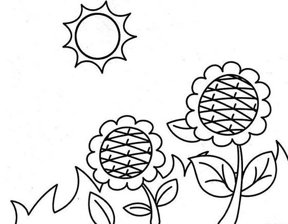 一堆向日葵 简笔画图片