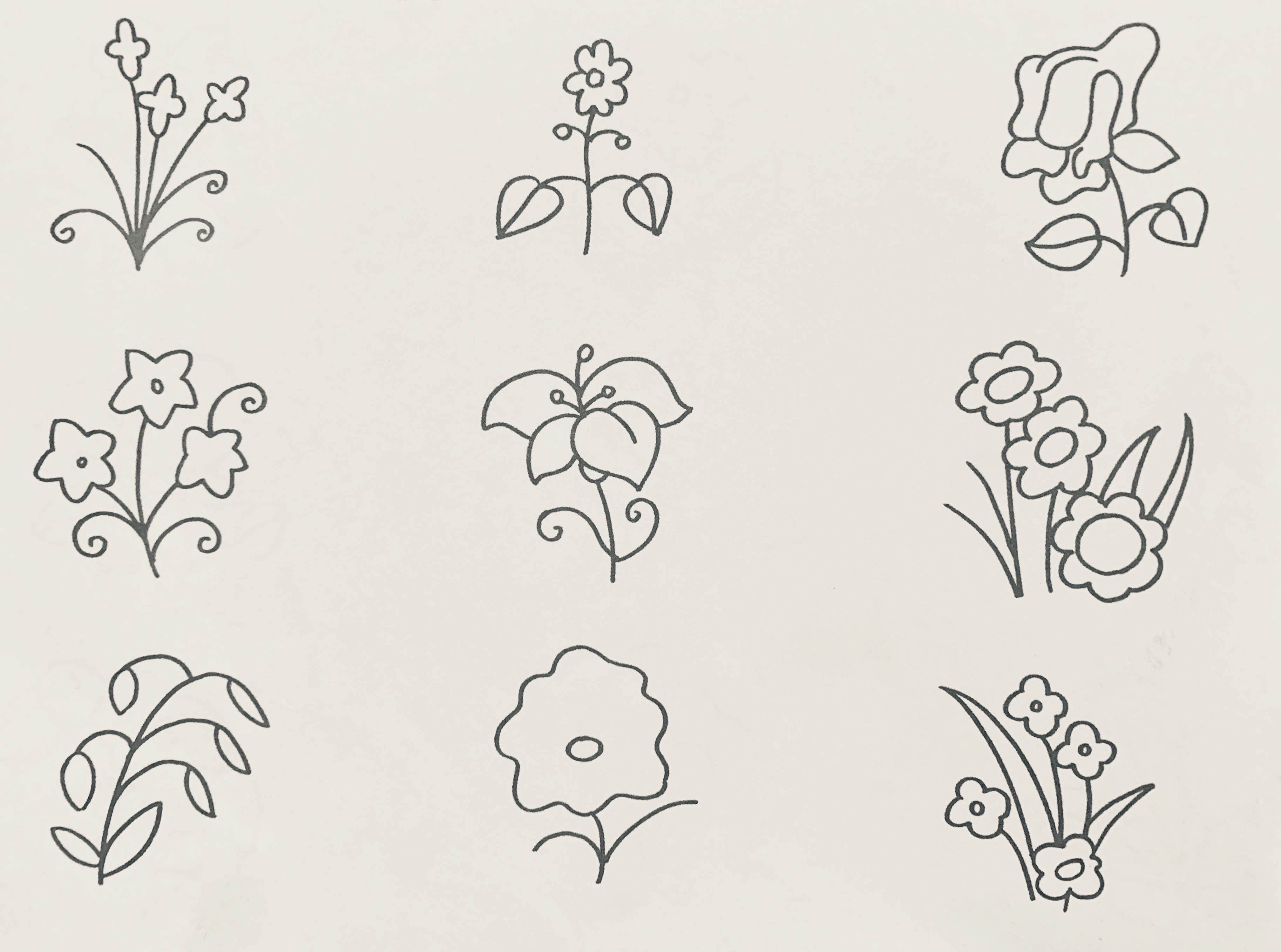 各种植物怎么画 花草图片