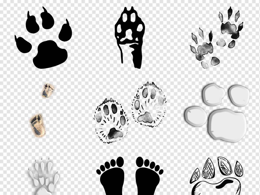各种动物的脚印卡通图片