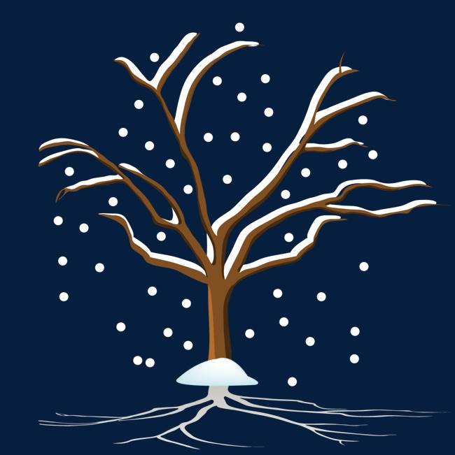 冬天的树简笔画 冬天的树简笔画幼儿园小班