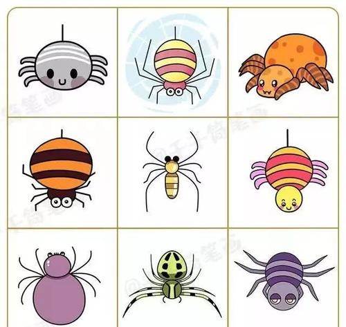 蜘蛛简笔画图片动物图片