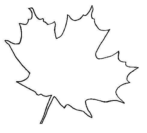 画秋天树叶的简笔画图片