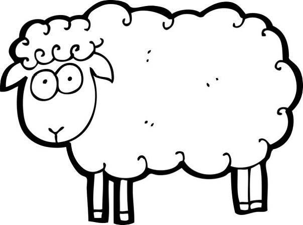 如何画羊的简笔画步骤图片