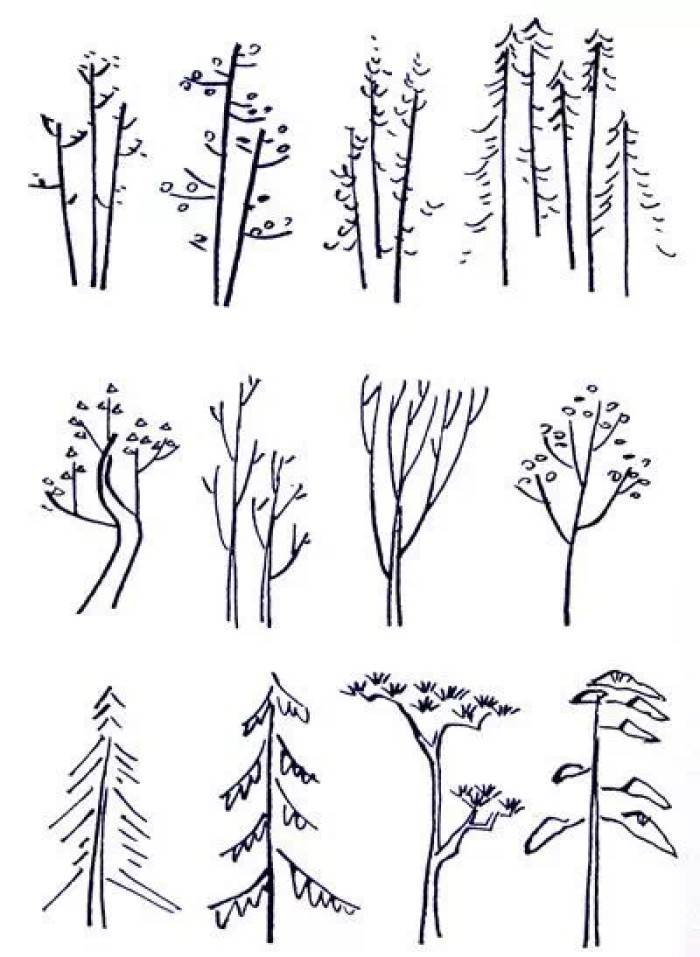 简笔画树的画法教案图片