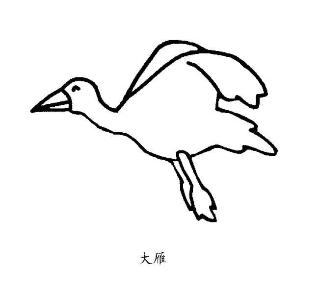 大雁的简单画法图片
