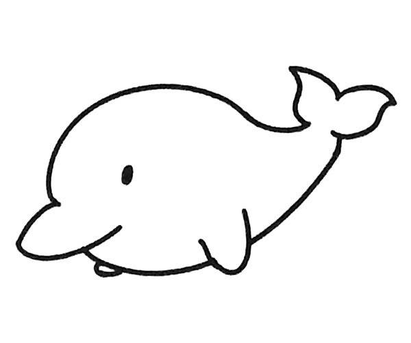 小海豚简笔画可爱图片
