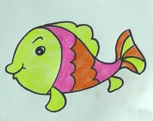 红金鱼简笔画图片