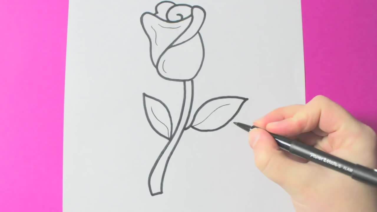 简笔画蔷薇怎么画图片