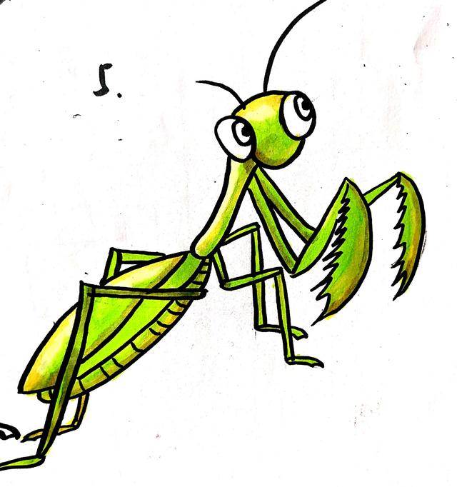 螳螂简笔画宝宝简笔画,昆虫螳螂,儿童绘画这是一组螳螂简笔画的内容