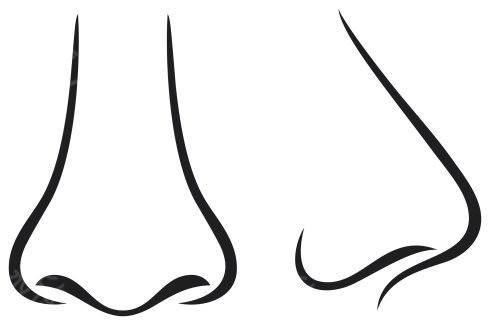 动漫鼻子画法简单图片