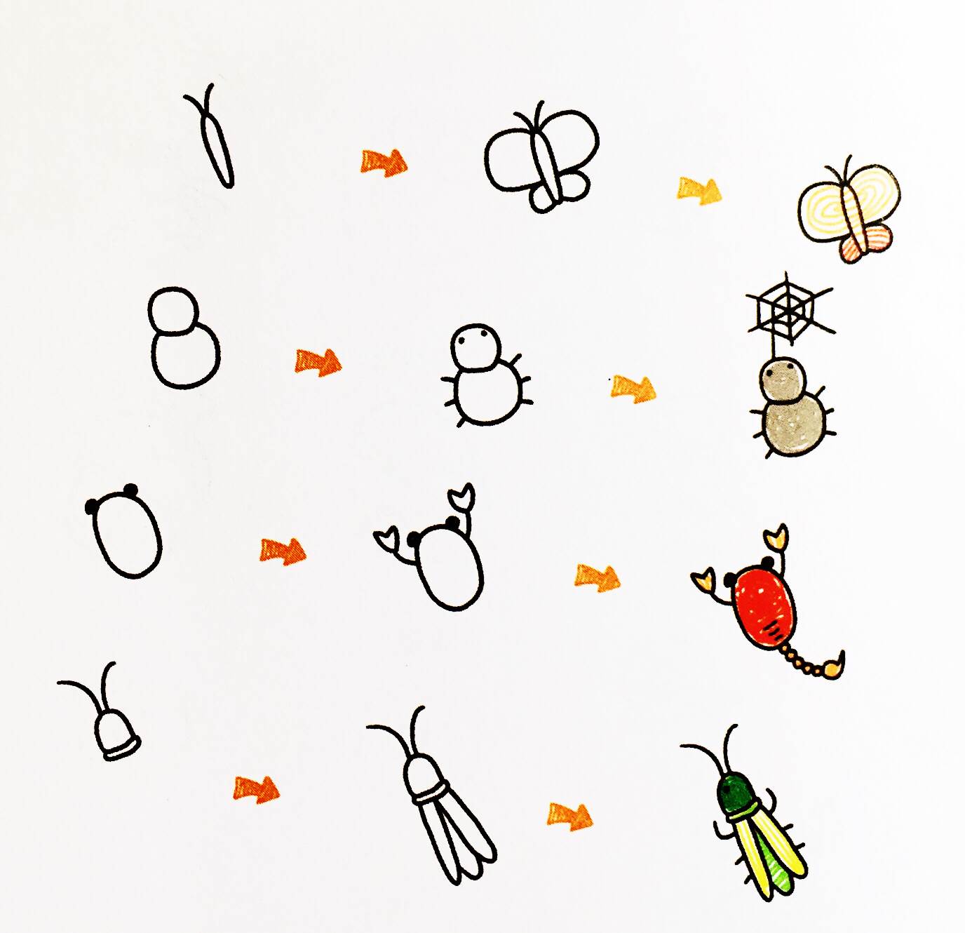虫子的简笔画怎么画 虫子简笔画简单又好看 - 水彩迷
