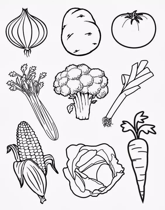 各种蔬菜简笔画 卡通图片