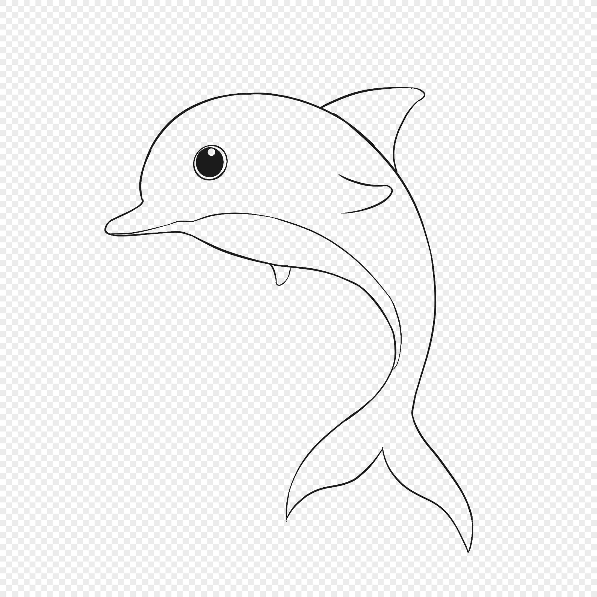 怎么画一只漂亮的海豚,海豚手抄报简单又漂亮 - 伤感说说吧