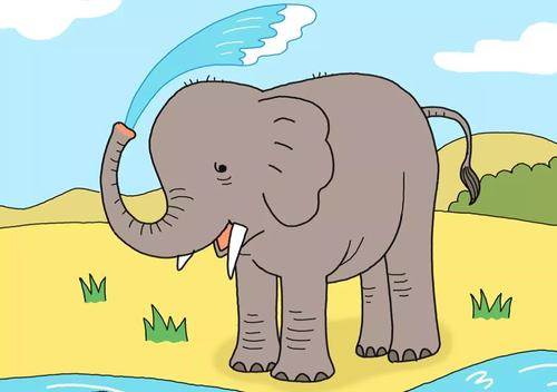 大象可爱简笔画彩色图片