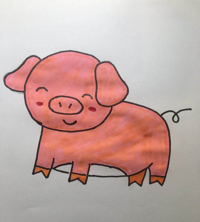 生肖猪简笔画可爱图片