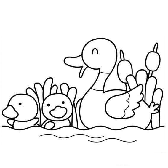 儿童简笔画鸭子简单图片