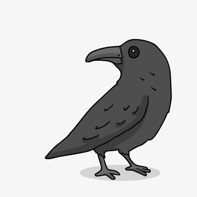 乌鸦叼肉的简笔画图片