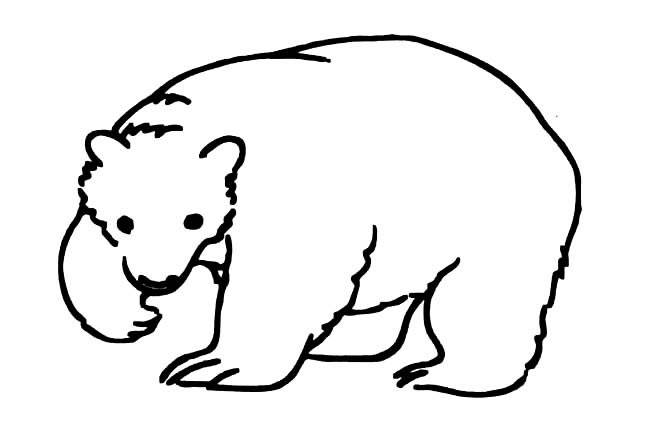 北极熊手绘 画画图片