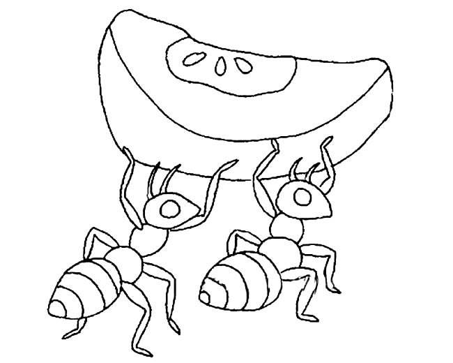 小蚂蚁手拉手简笔画图片