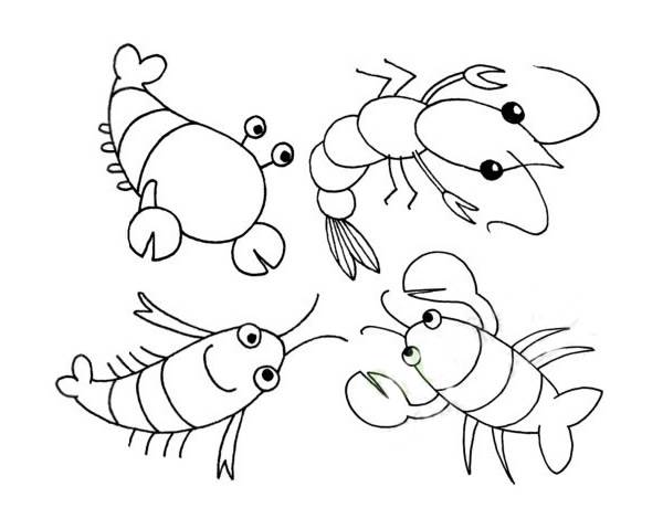虾的简笔画 画法图片
