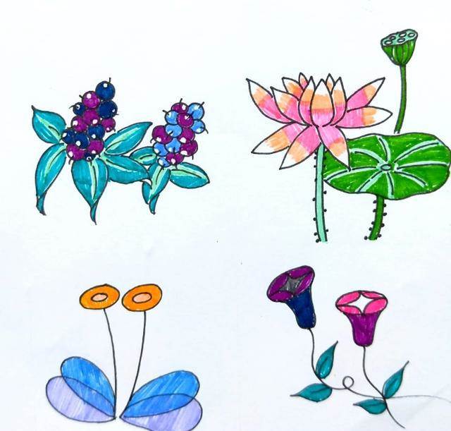 植物简笔画彩色 花草图片