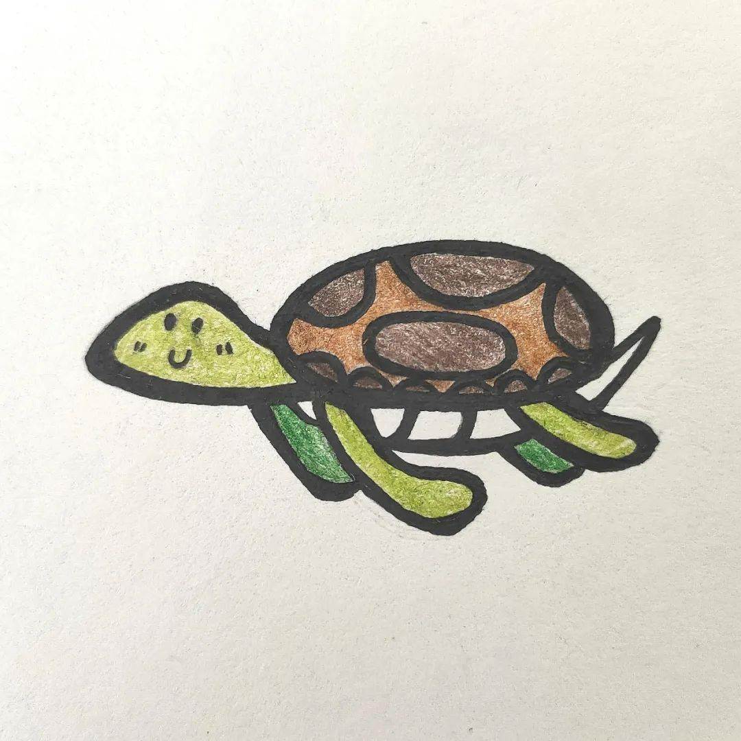海龟简笔画带颜色深水图片