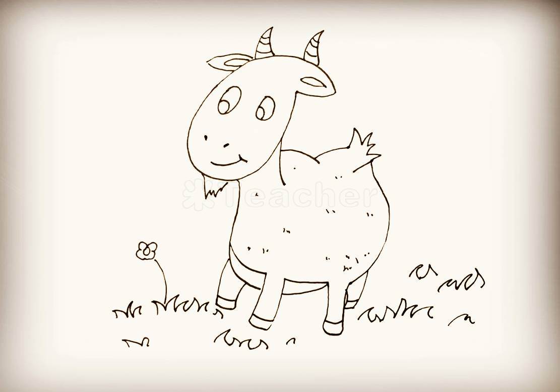 儿童动物大全 简笔画山羊画法图解 肉丁儿童网