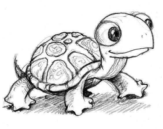 乌龟的简笔画 乌龟的简笔画图片