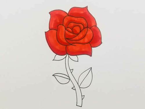 简笔画画玫瑰花玫瑰花简笔画图片美丽的玫瑰花简笔画红玫瑰简笔画这是