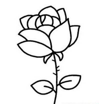 玫瑰花的简笔画 玫瑰花的简笔画一朵