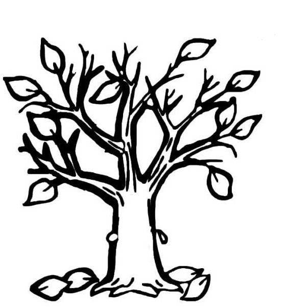 树怎么画简单简笔画图片