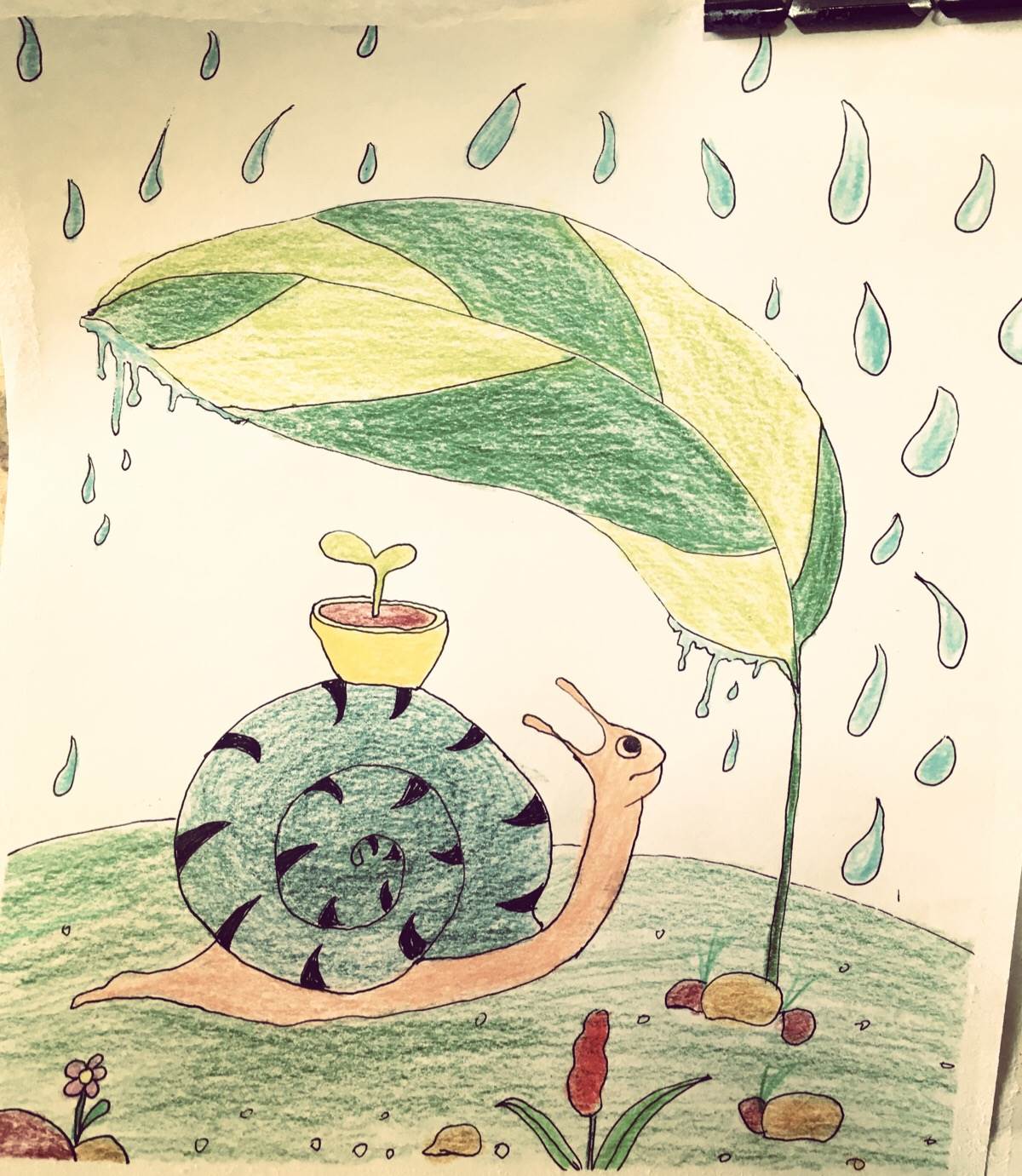 少儿美术汇｜综合创意绘画教程，下雨天的风景！|油画棒|绘画|勾线笔_新浪新闻