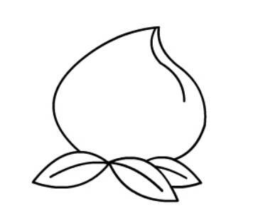水仙花种球简笔画图片