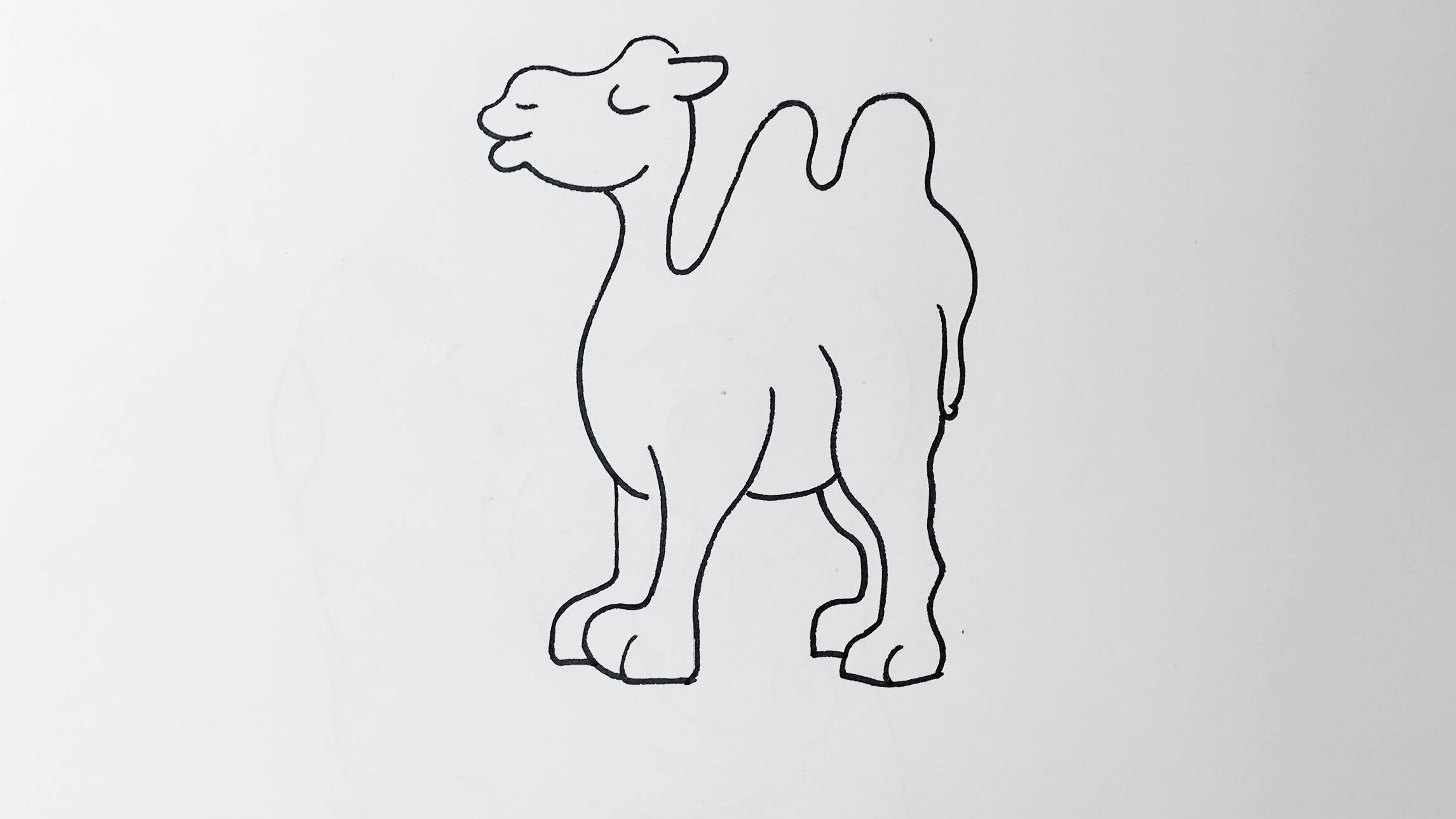 骆驼卡通简笔画可爱图片