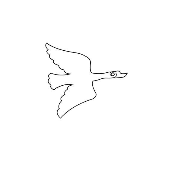 大雁的简笔画法图片