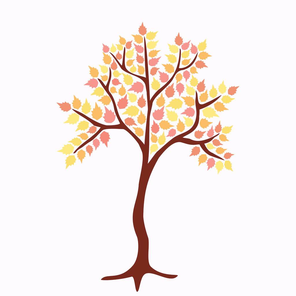 枫树树枝插画图片素材免费下载 - 觅知网