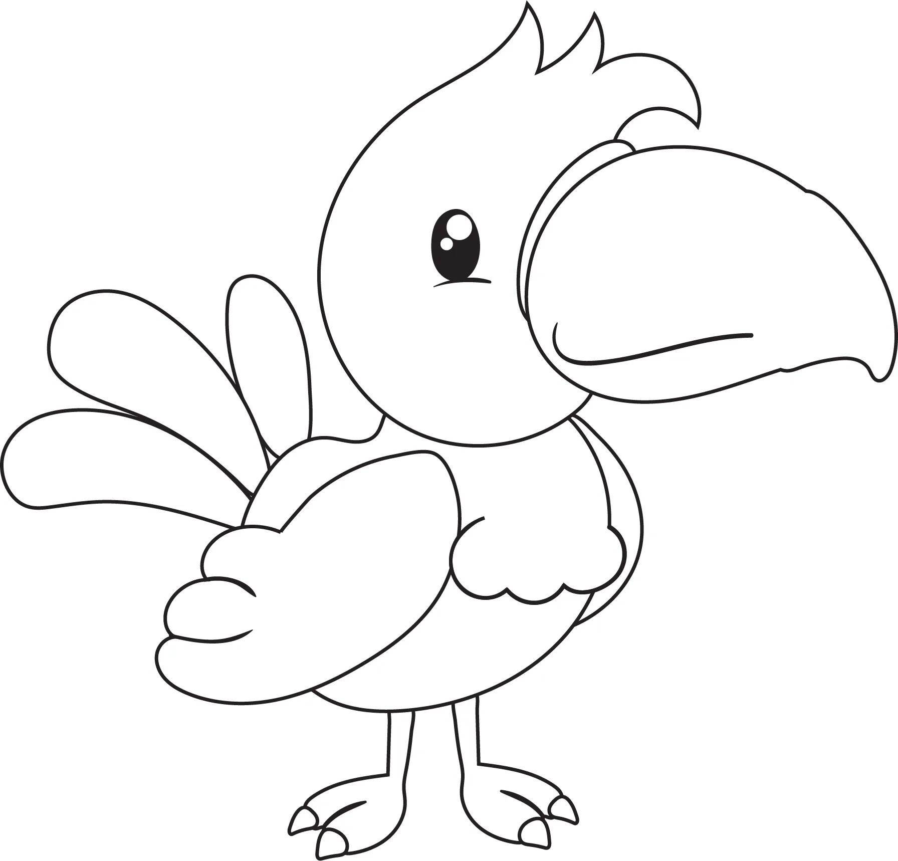 鹦鹉的简笔画图片大全(13),简笔画鹦鹉,动物简笔画_小鸭子儿童乐园