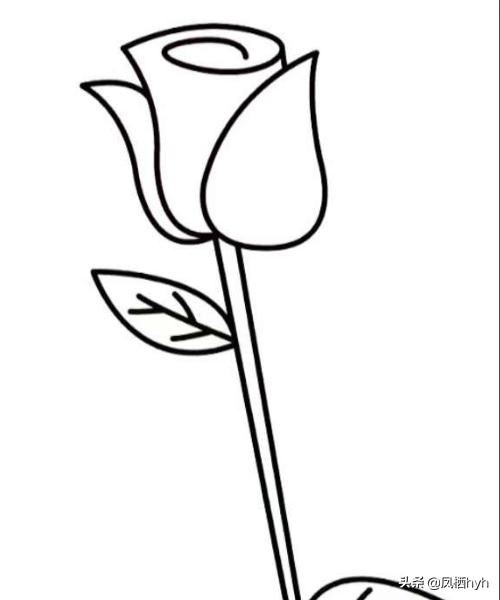 简单玫瑰花铅笔画图片