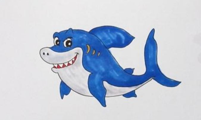 大鲨鱼简笔画彩色涂色图片